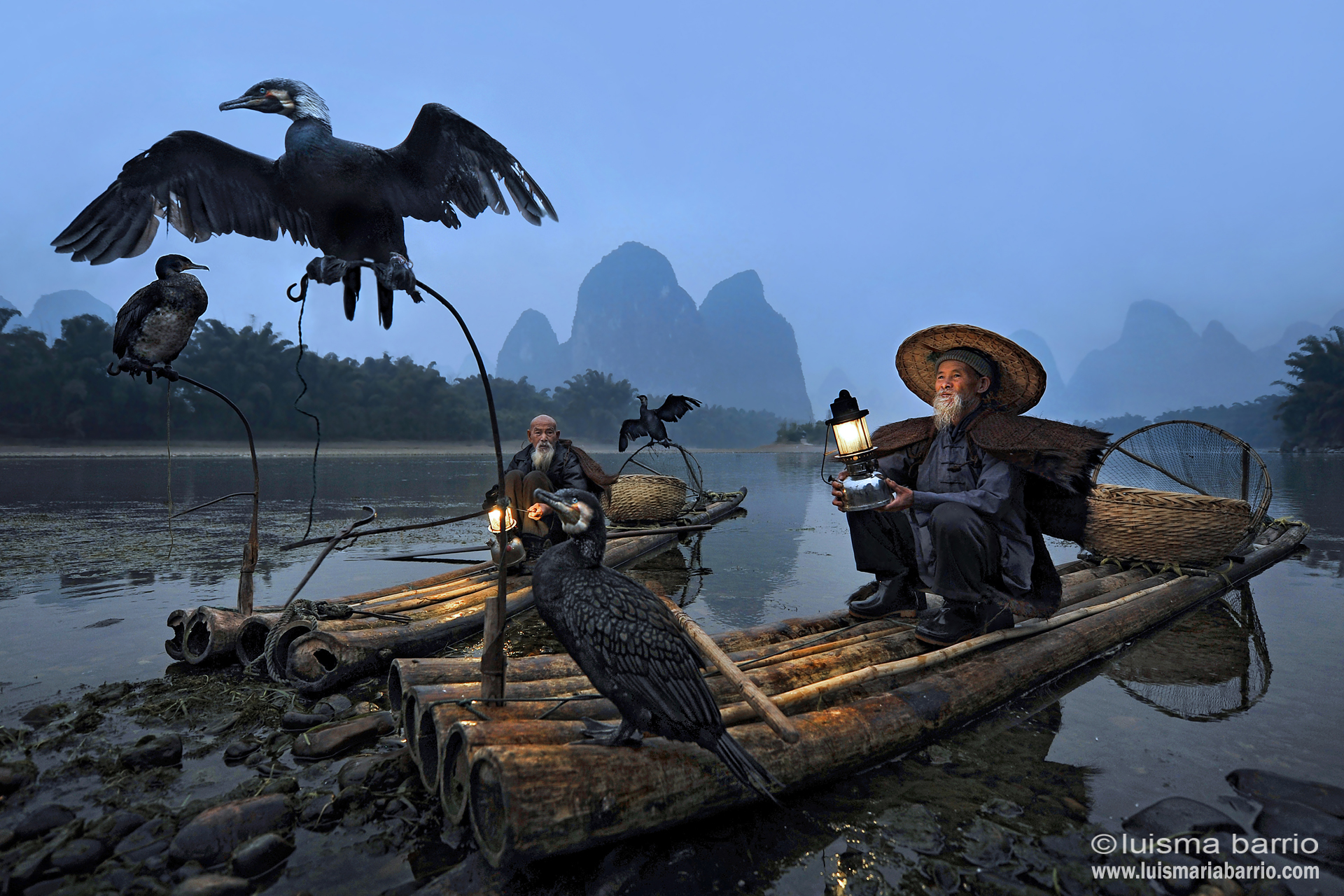 chinese fisherman with cormorant - ukai